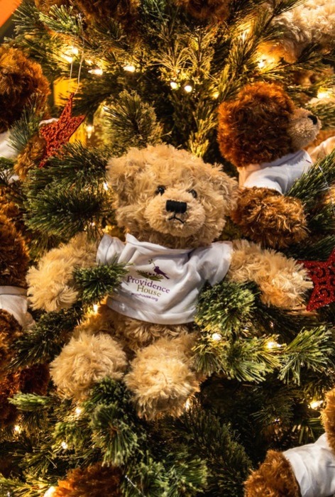 Deckthehouseteddybeartreecloseup1